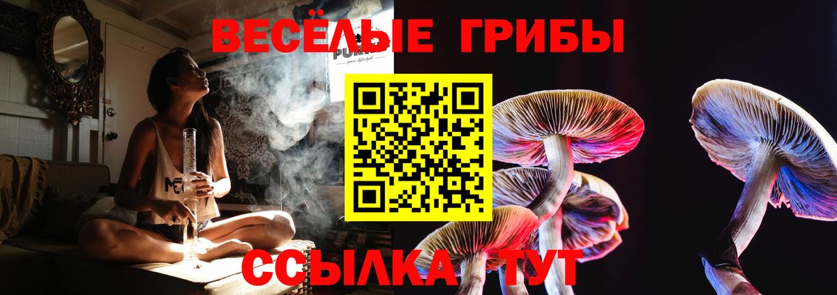 Красноперекопск  Псилоцибиновые грибы мухоморы  Вход с VPN  Псилоцибиновые грибы мухоморы 